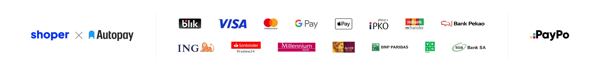 rodzaje płatności i banków obsługiwanych przez sklep